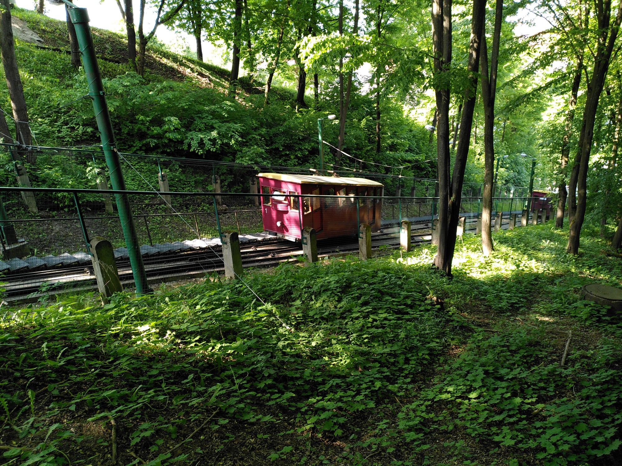 Picture of a funicular in dense greenery